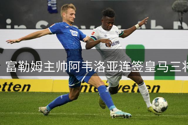 富勒姆主帅阿韦洛亚连签皇马三将，俱乐部保留二次转会权益